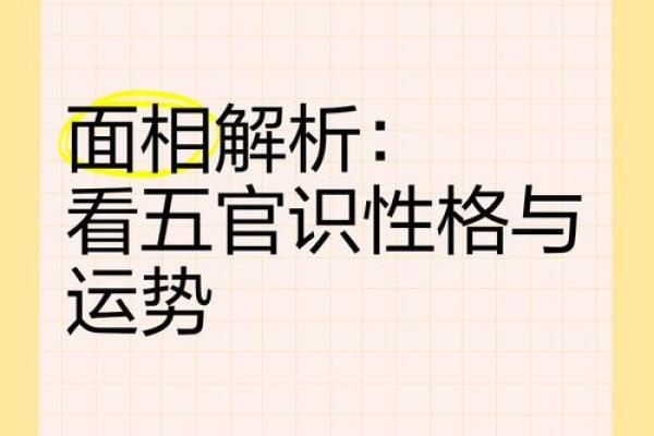 面相解码：运势的神秘面纱