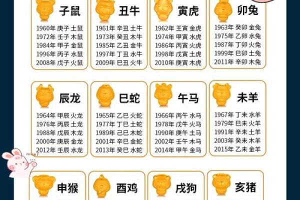 了解肖五行与命理的关系