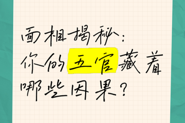 面相揭秘：五官布局揭示命运之谜