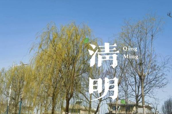 三月十五，踏青赏花迎清明
