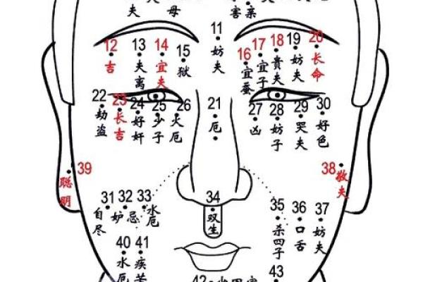痣相里的秘密：女性面痣揭秘，命运轨迹尽在其中