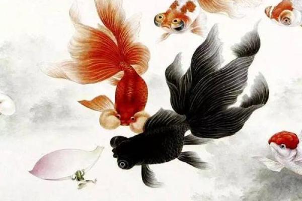 风水大师揭秘：这种鱼竟能招财旺运，快来看看！