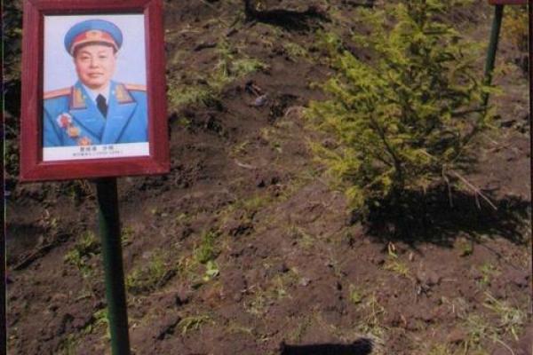 名垂青史：从名著人物名字看姓名的艺术