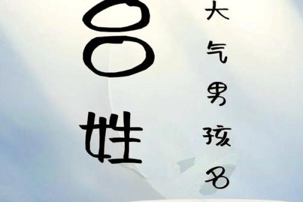 名字解析：海琪的寓意与内涿