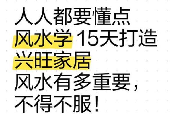 风水大师亲授：打造旺家旺运的家居风水布局