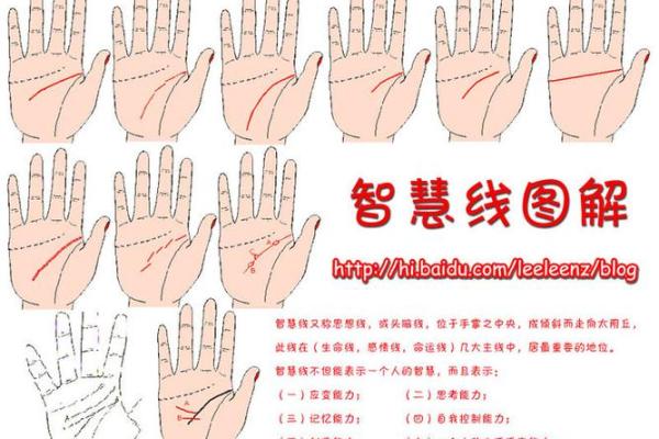 手相里的财富密码，贵夫人必备财运指南