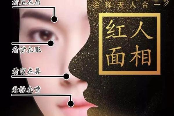 面相揭秘：怀孕生男女，面相特征一览无遗