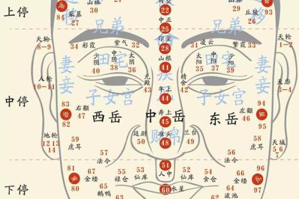 面相解码：祛痣堂揭秘痣相之美