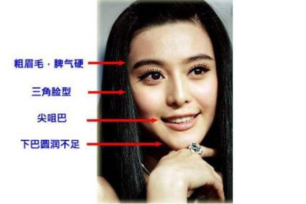 女性短下巴面相解析：神秘魅力与性格特质一探究竟