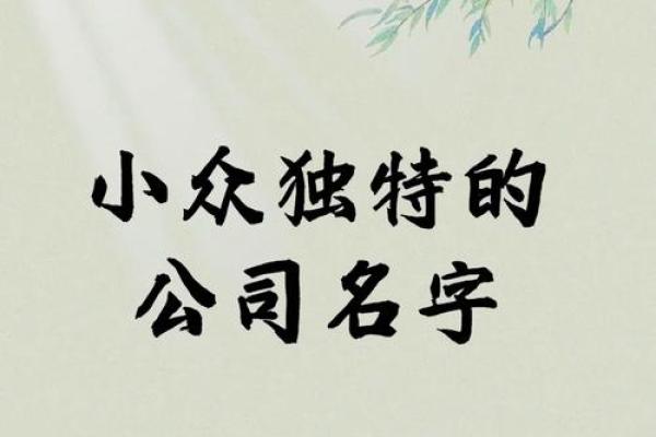 霸气公司名称创意指南，助你打造独特品牌形象