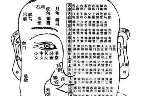 头顶平平面相解析：预示着怎样的命运走向？
