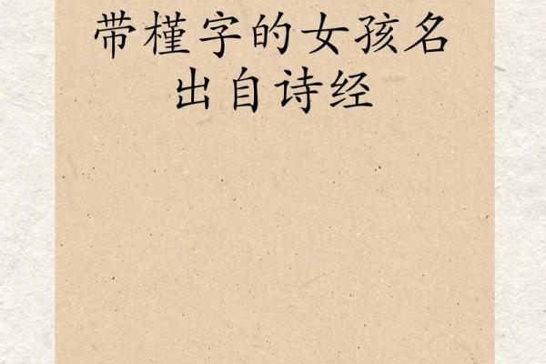 诗经文化传承与现代起名结合 打造独特企业品牌名字