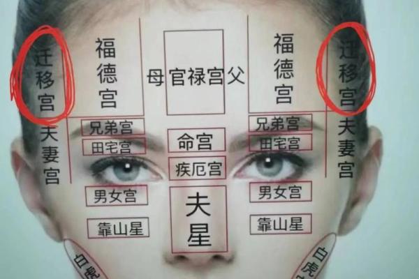 痣相里的外乡梦：揭秘哪些痣相助力事业发展