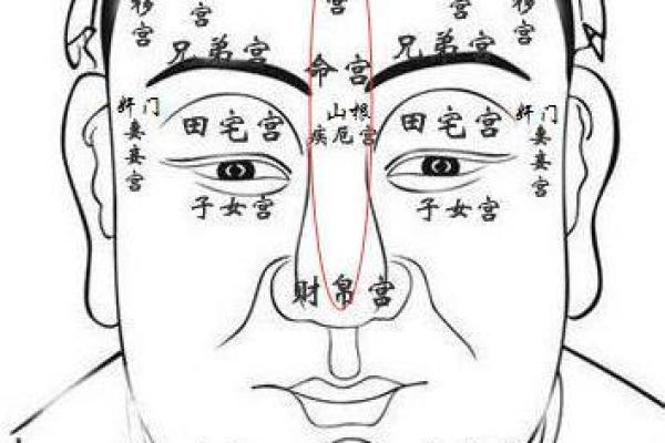 面相秘术：一瞥之间窥探人生运势