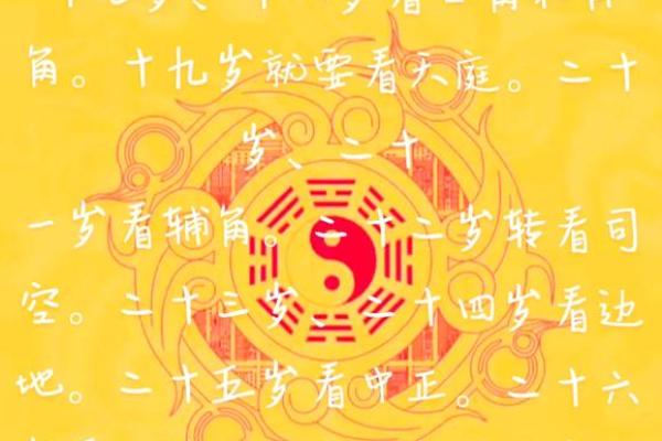 面相秘术：一瞥之间窥探人生运势