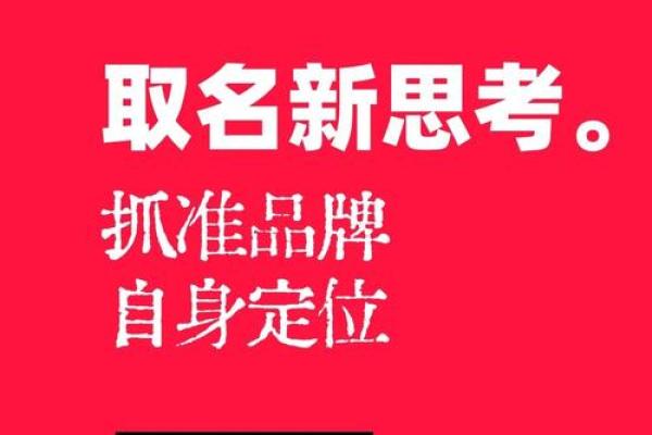 专业巨天中起名公司为您提供精准命名方案