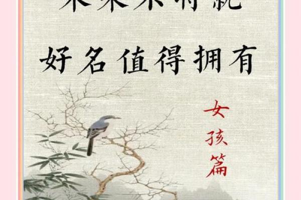 容轩：名字中的诗意与内涵