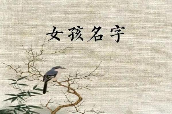 容轩：名字中的诗意与内涵