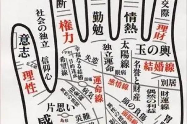 男手相揭秘：揭秘手掌中的秘密