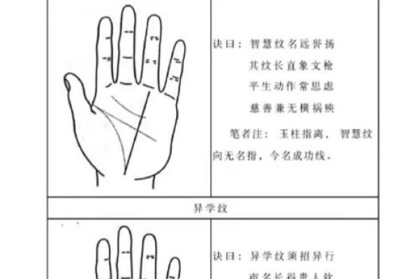 男手相揭秘：揭秘手掌中的秘密