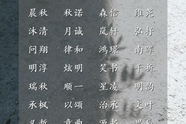 通过生辰八字起名器，助你为孩子选择合适名字