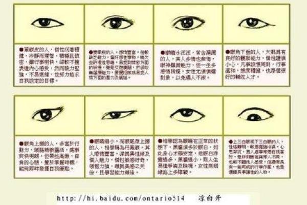面相解码：男性五官间的命运密码