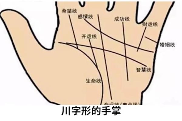 手相纹路大揭秘：手相段纹解读，掌握你的运势密码