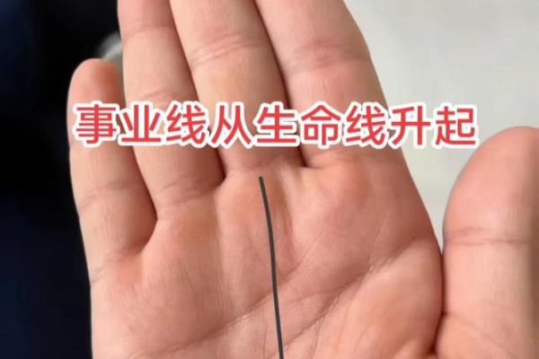 事业高峰手相解码：掌握这几点，助你步步高升！