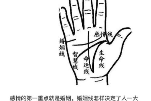 揭秘手相中的子女运势密码，助你孕育幸福未来