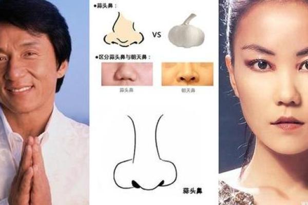 鼻梁粗耸：财运亨通，事业发达的福相之谜