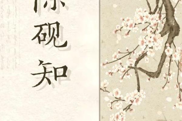 皇浦取名之道：如何赋予名字独特韵味与寓意