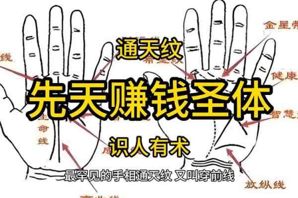 天生富贵相：揭秘手相天柱纹的秘密力量
