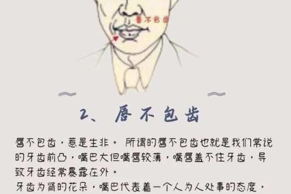 骨骼清秀面相解析：揭示男性气质的秘密