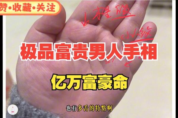 明星手相揭秘：财富如泉涌的神奇密码