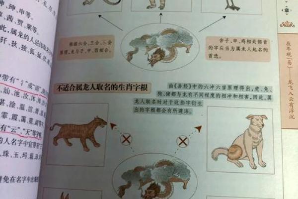 带匀名字的创意解析：如何为宝宝取一个独特又美好的名孿