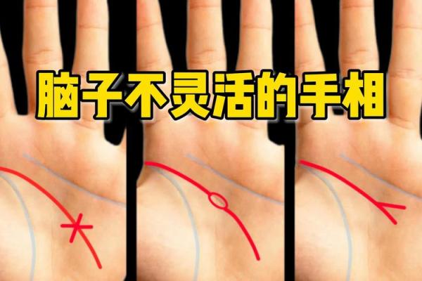 一招看穿人心：手相中的交际智慧全解析