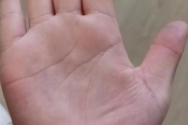 洞悉命运的手相秘诀：慧根的力量