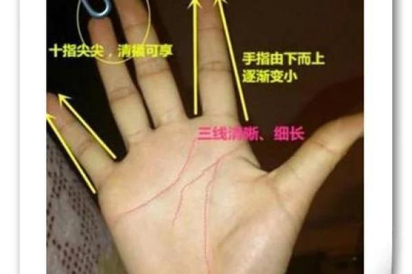 揭秘易入牢笼的手相特征，警惕你的命运！