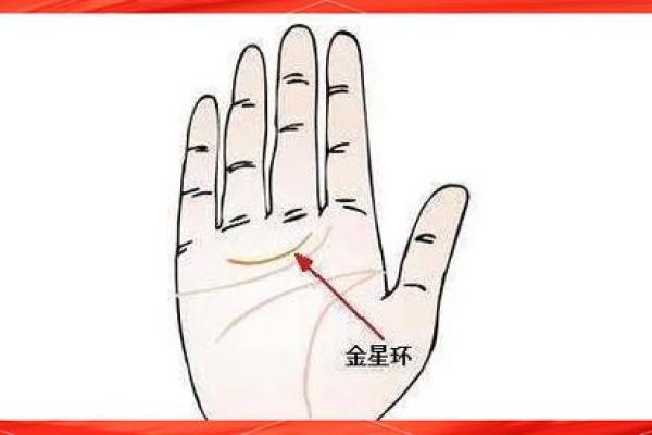 王者贵妇手相揭秘：掌握运势，尽享富贵人生