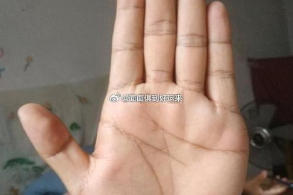魅力满分，女性缘爆棚的神秘手相揭秘！