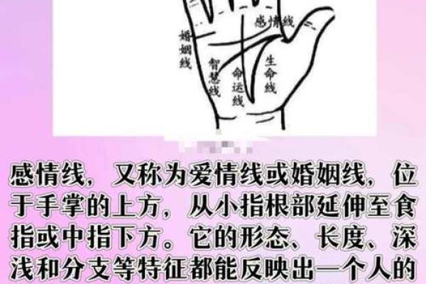 手相揭秘：婚姻线图解，揭秘你的爱情命运！