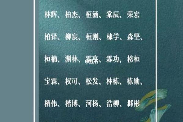 名字魅力：勋承如何彰显个性与内涵