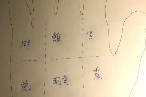 财务高手必备！揭秘会计手相密码