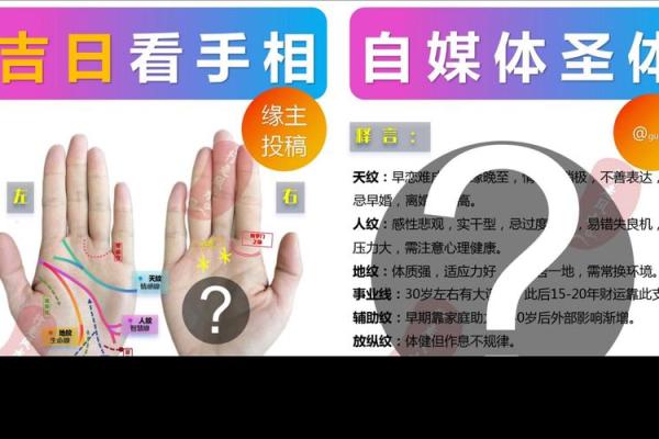 手中奥秘：揭秘手相区域划分的神奇力量