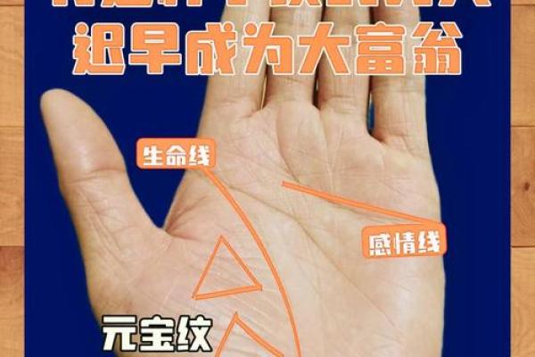 手中奥秘：揭秘手相区域划分的神奇力量