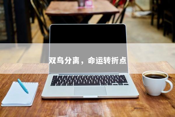 双鸟分离，命运转折点