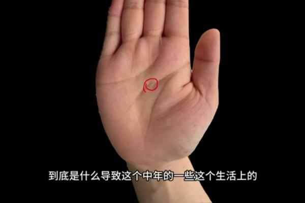 爆料：从手相看穿外遇的秘密！