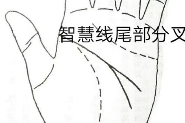 爆料：从手相看穿外遇的秘密！