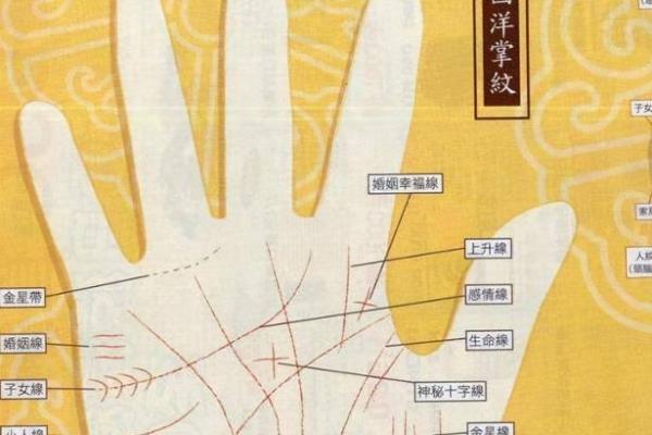手上豹纹现，运势大逆袭：揭秘手相学中的豹纹奥秘