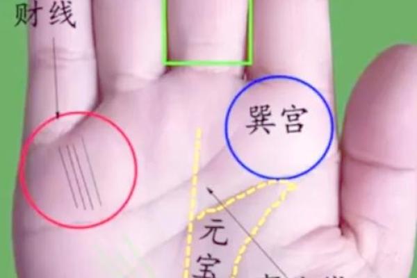 手上豹纹现，运势大逆袭：揭秘手相学中的豹纹奥秘